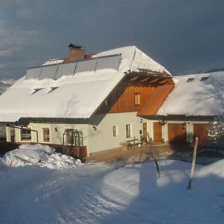 Haus Schober Apartment Windischgarsten Luaran gambar