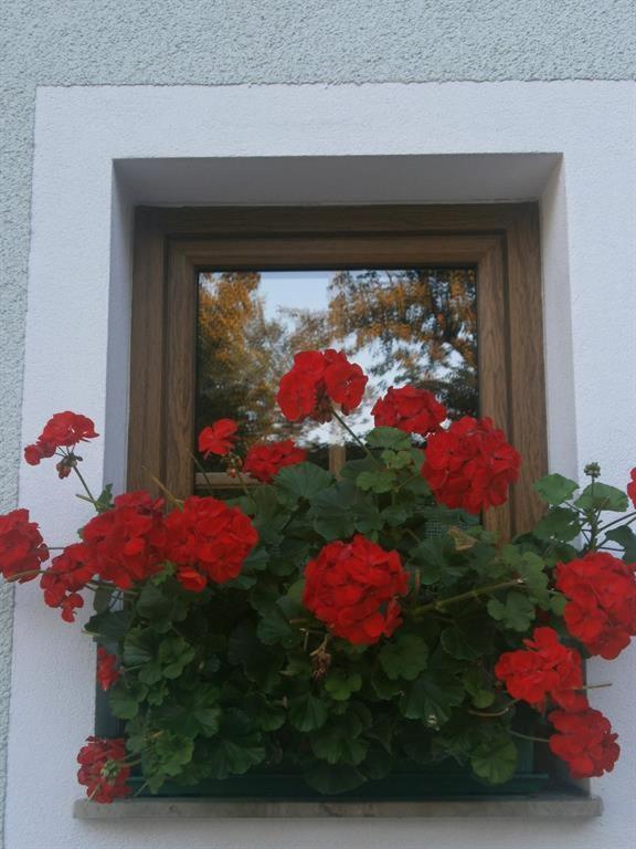 Haus Schober Apartment Windischgarsten Luaran gambar